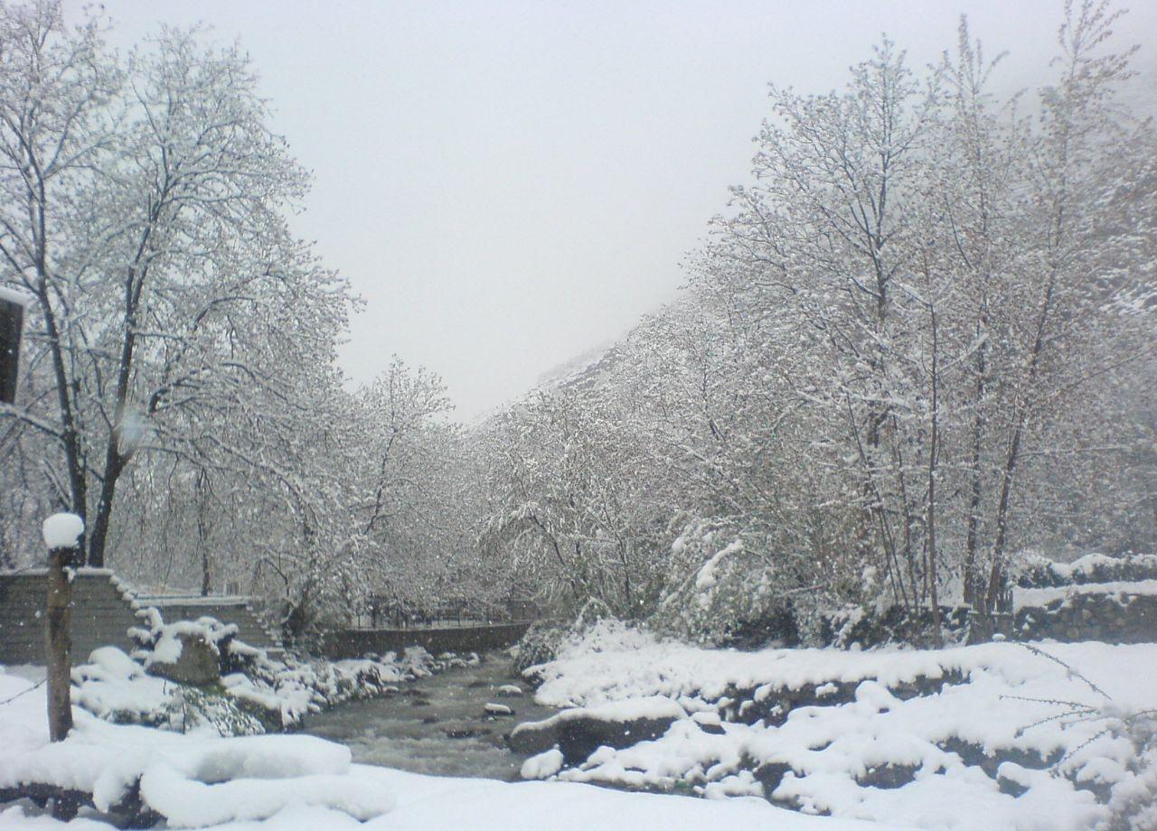 ویلا کنار رودخانه چشم انداز کوه و جنگل