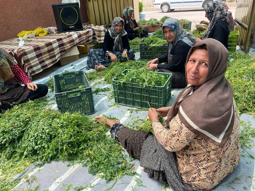 اجاره اقامتگاه بوم گردی دیاوا در نطنز