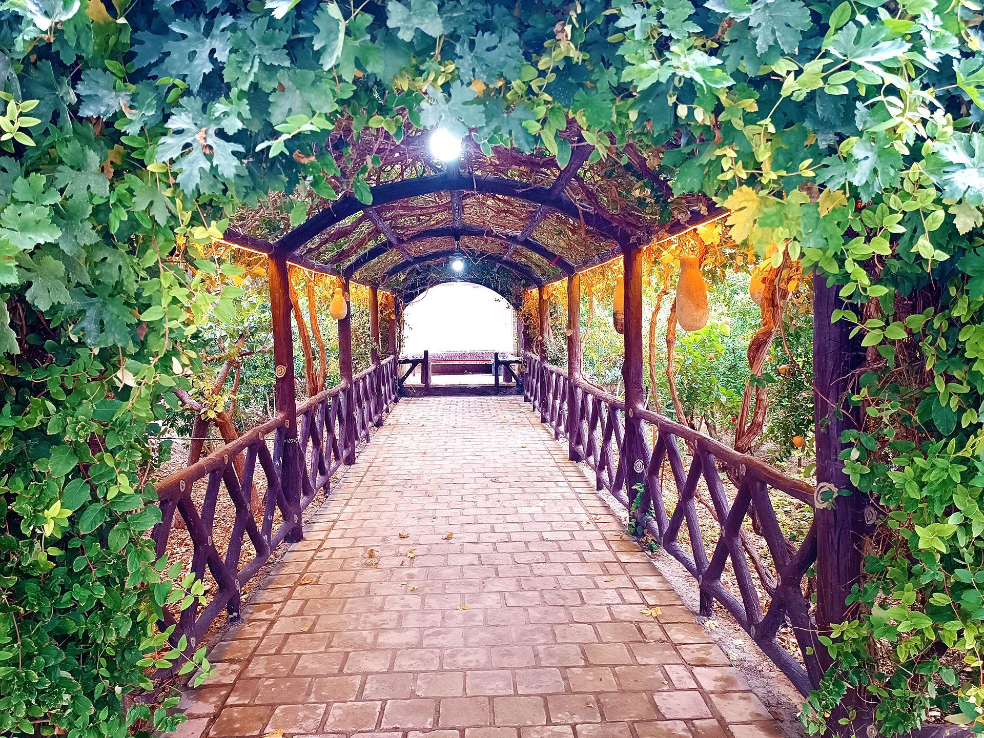 ویلا دربست با فوتبال دستی فین کاشان