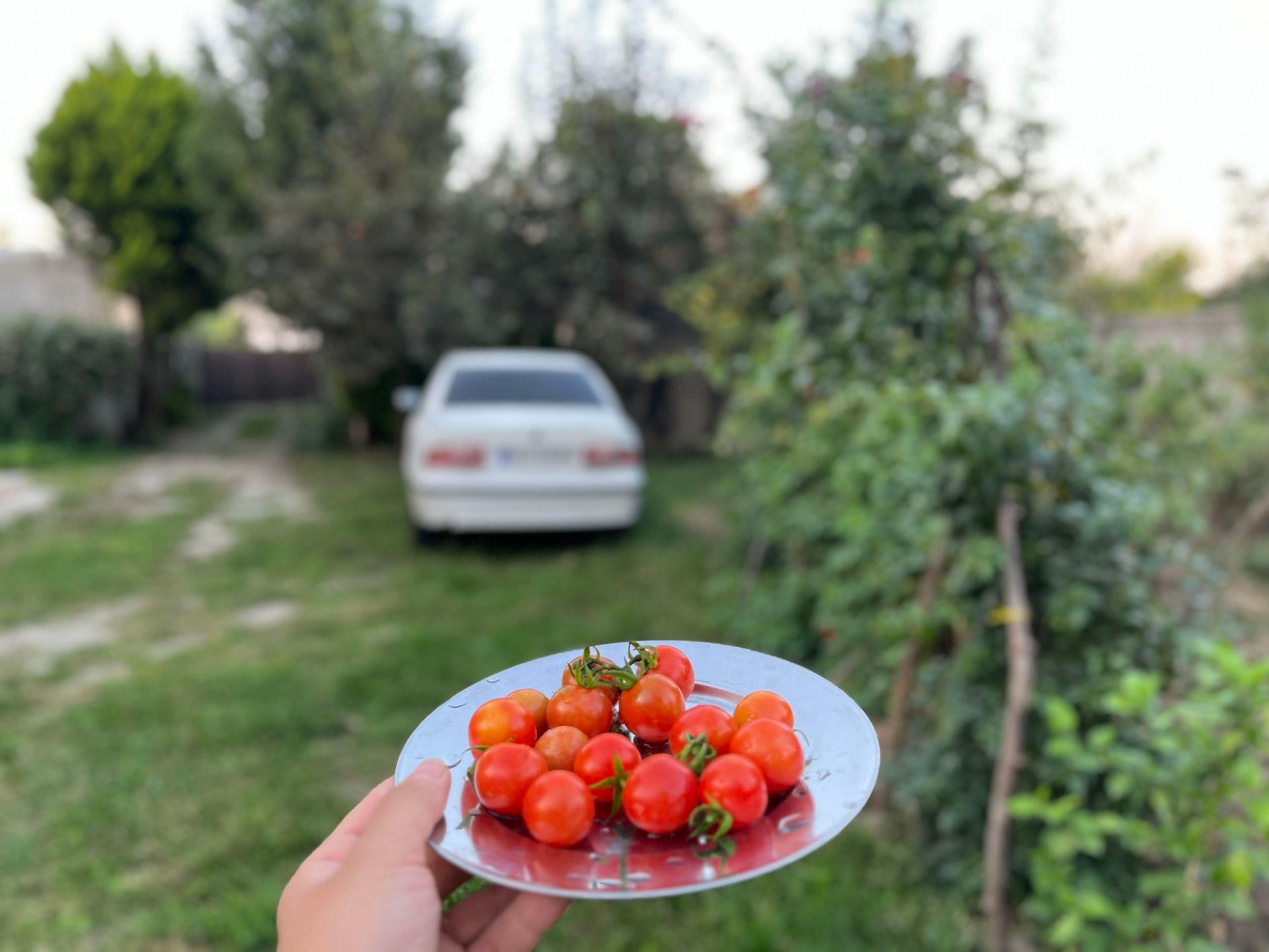 ویلای آرام و زیبا با دسترسی عالی