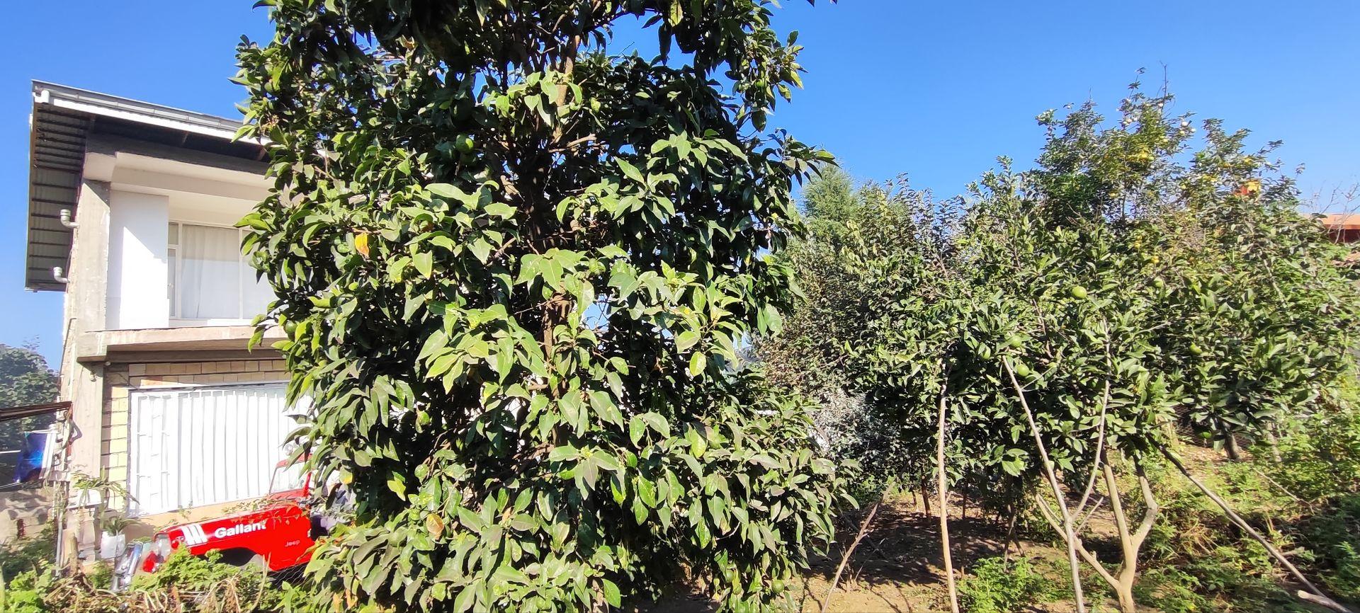 ویلای آرام و زیبا با دسترسی عالی