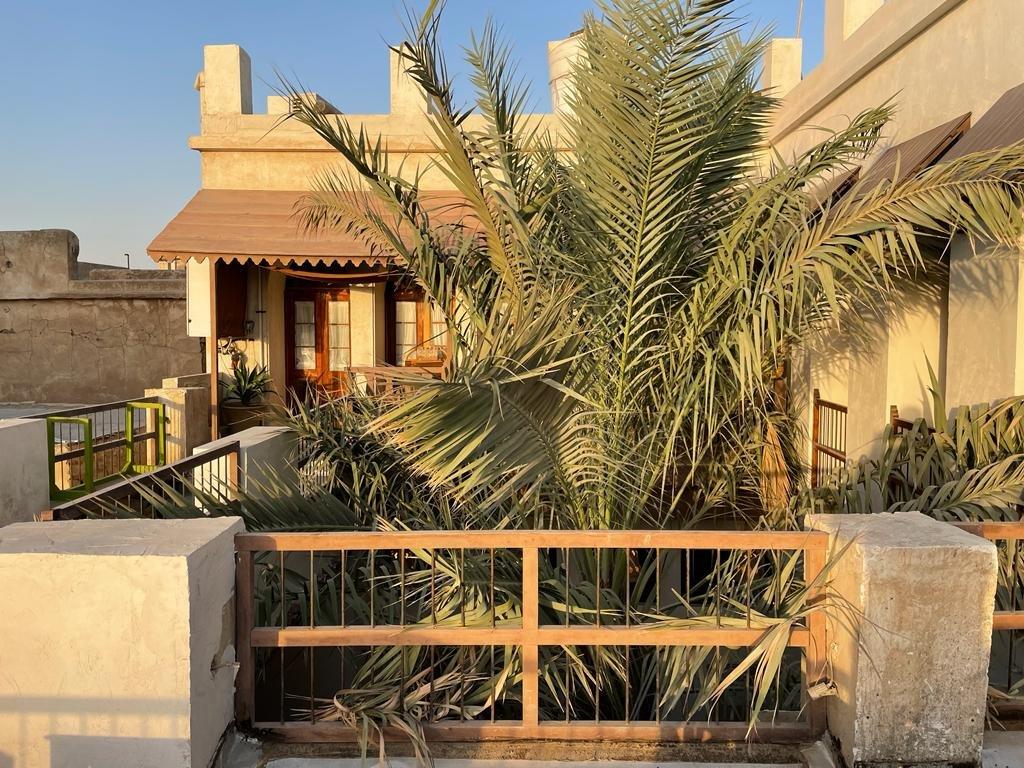 اجاره اقامتگاه بوم گردی مان همیشه سبز بوشهر