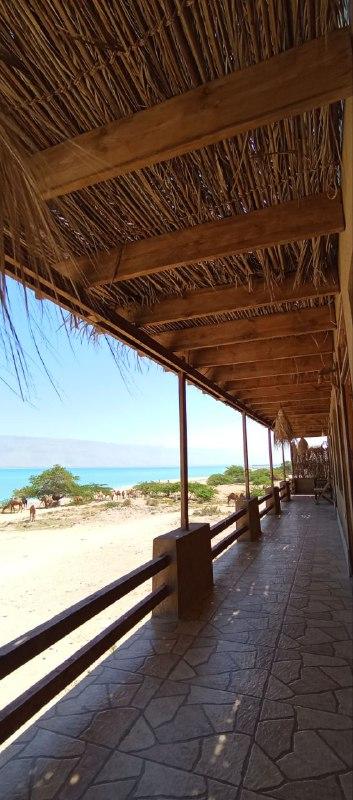 اقامتگاه إلسیف ساحل فیروزه ای نایبند