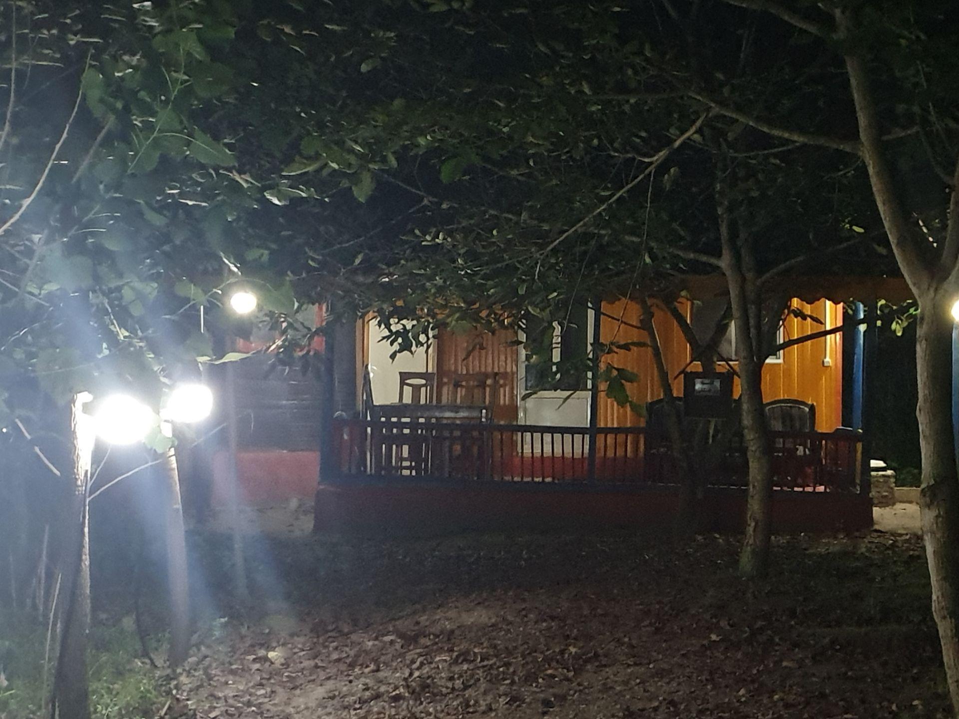 مجتمع اقامتی بهبهانی _ رز جنگلی