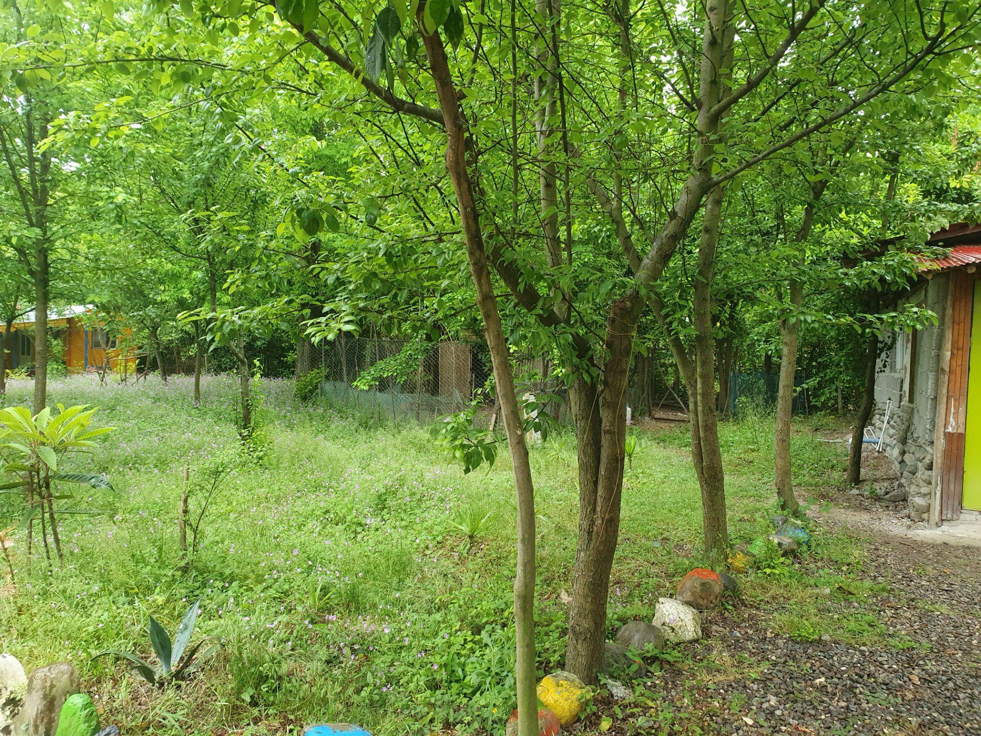 مجتمع اقامتی بهبهانی _ رز جنگلی