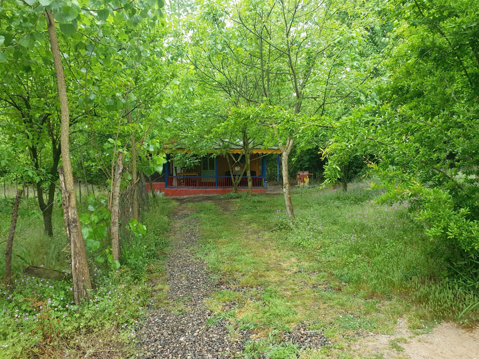 مجتمع اقامتی بهبهانی _ رز جنگلی