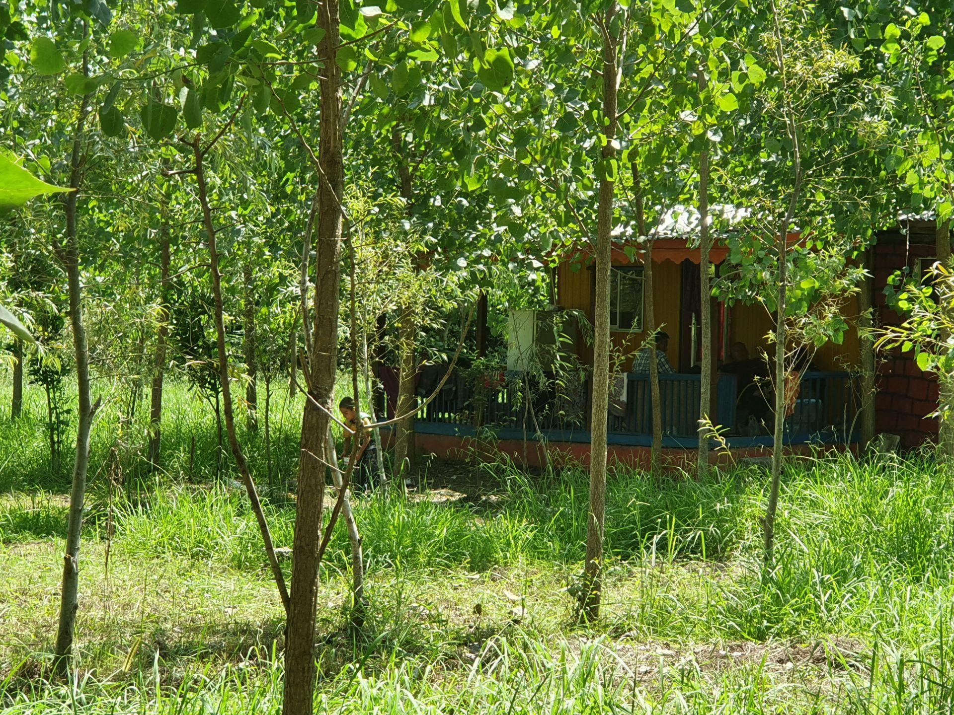 مجتمع اقامتی و باغ بهبهانی _ بنفشه