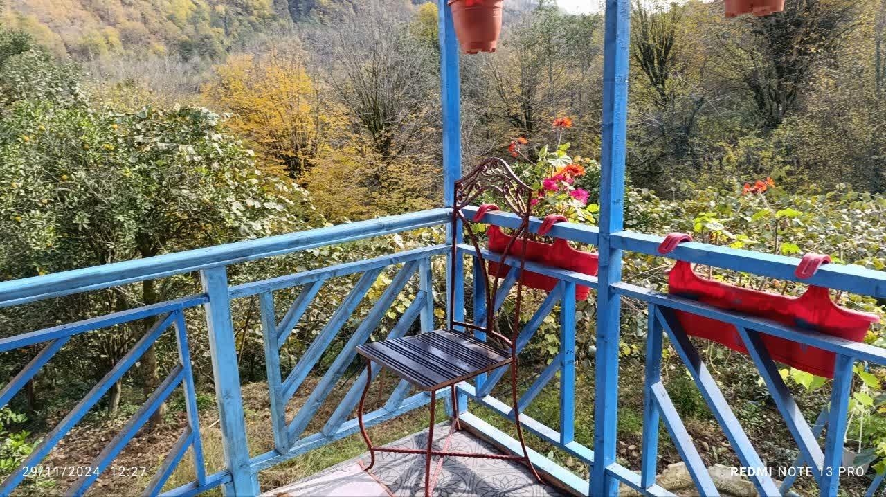 کلبه آرامــــــــــش امینی در رامسر