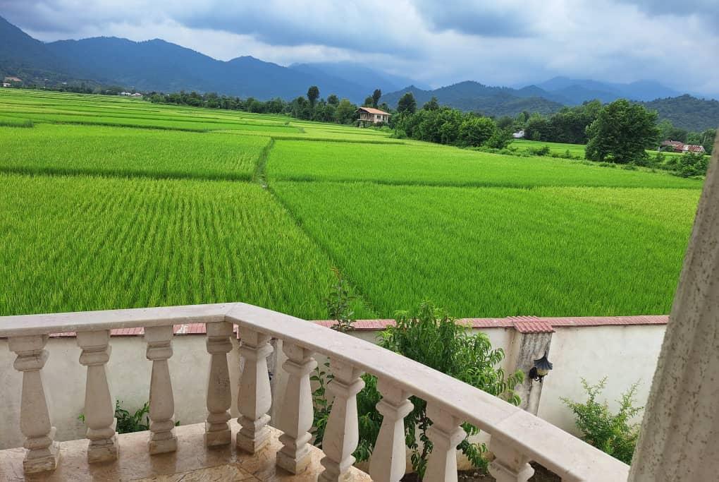 ویلا قلعه رودخان باویو کوه و شالیزار