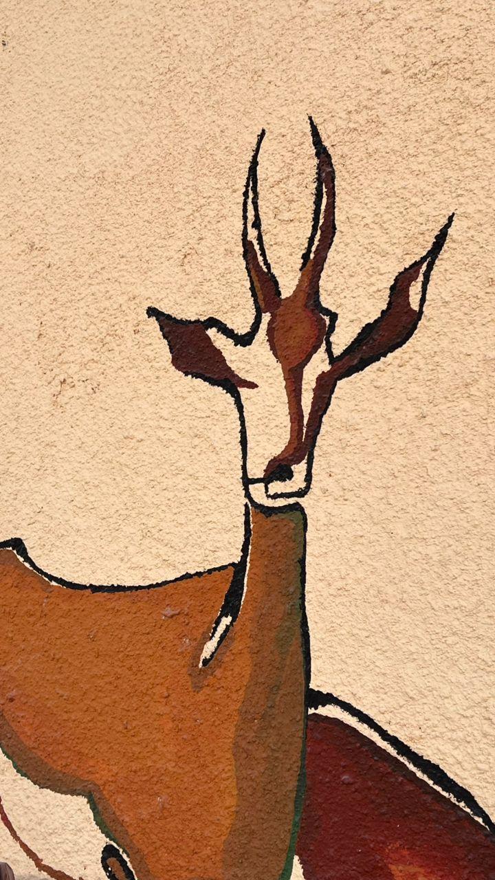 اقامتگاه بوم هرمزی در جزیره هرمز