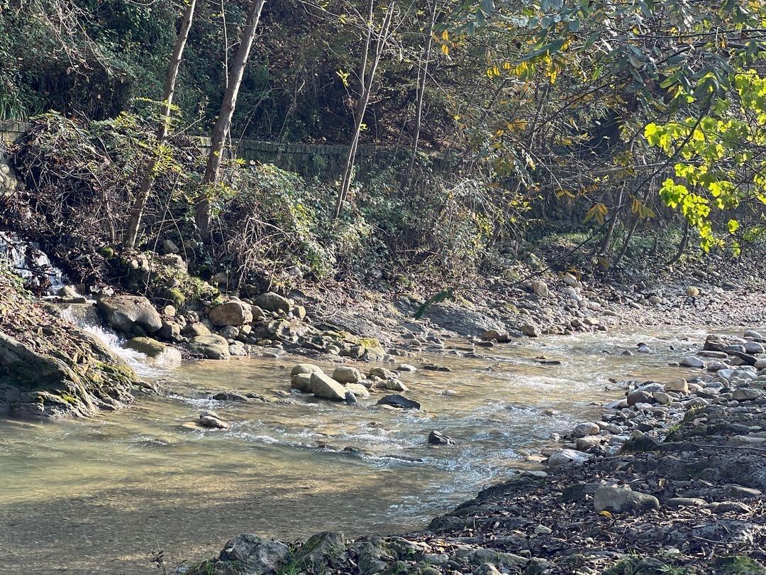 ویلای دو خواب جنگلی کنار رودخانه