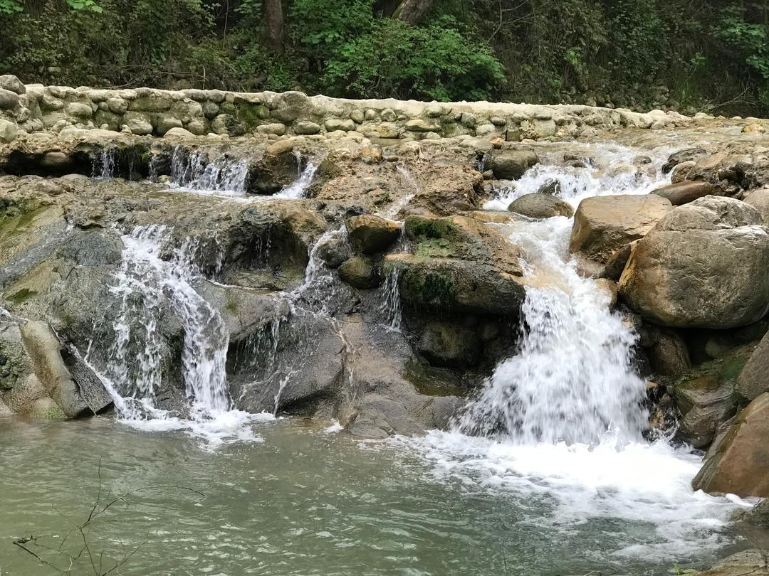 ویلای دو خواب جنگلی کنار رودخانه