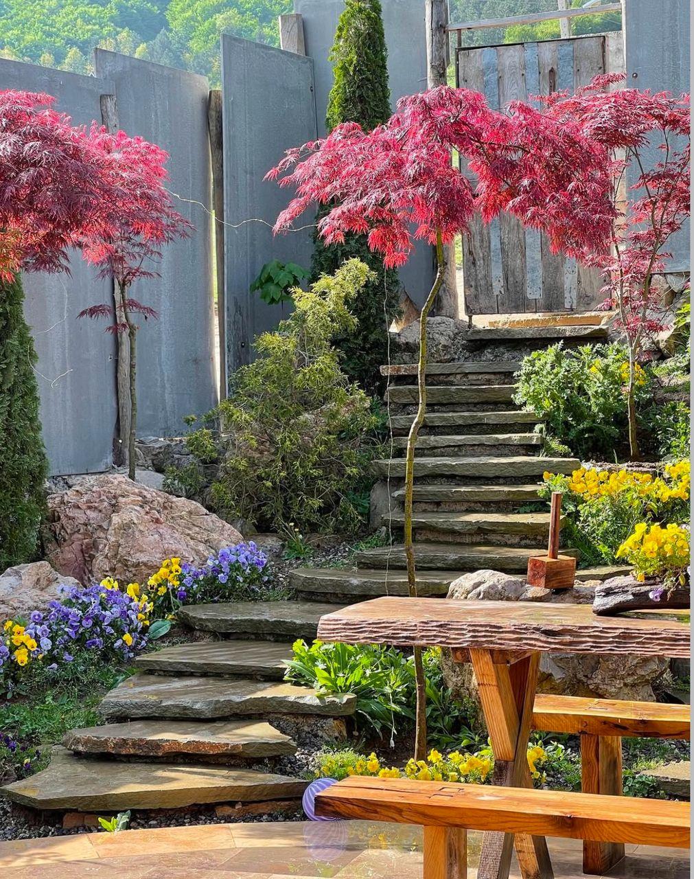 رزرو کلبه سوئیسی چوبی در کلاردشت