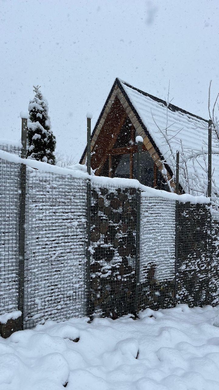 رزرو کلبه سوئیسی چوبی در کلاردشت