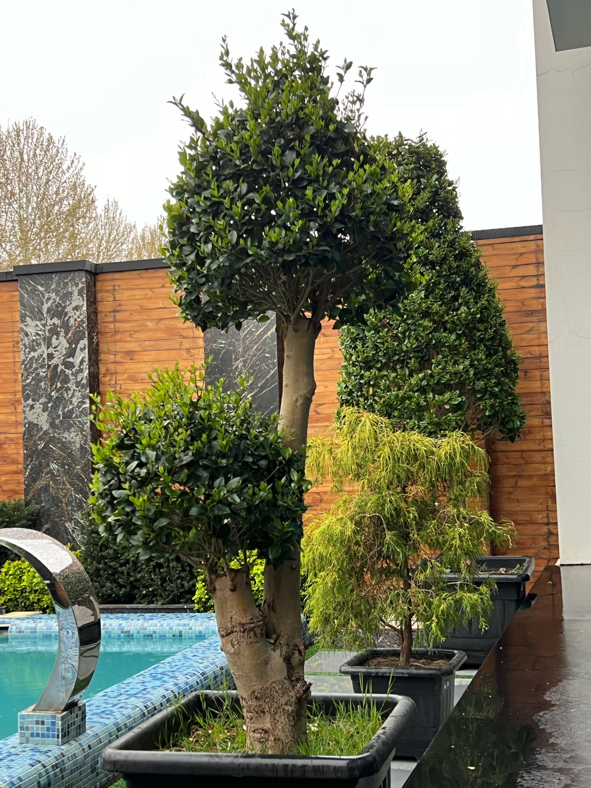 ویلا دوبلکس مدرن با ویو ابدی و استخر آبگرم