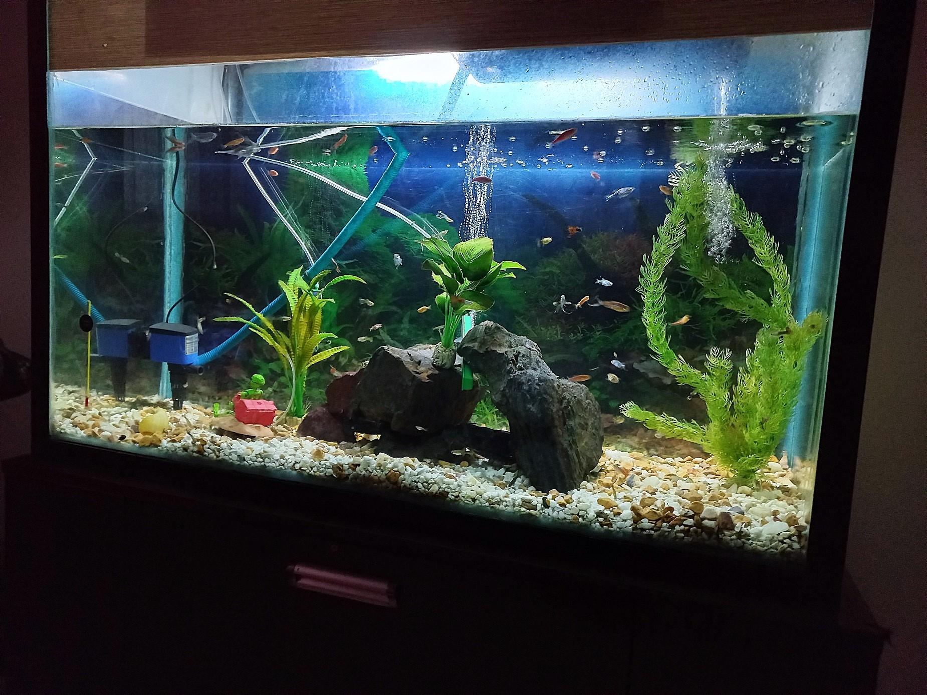 ویلا دو خوابه منطقه آزاد طالب آباد