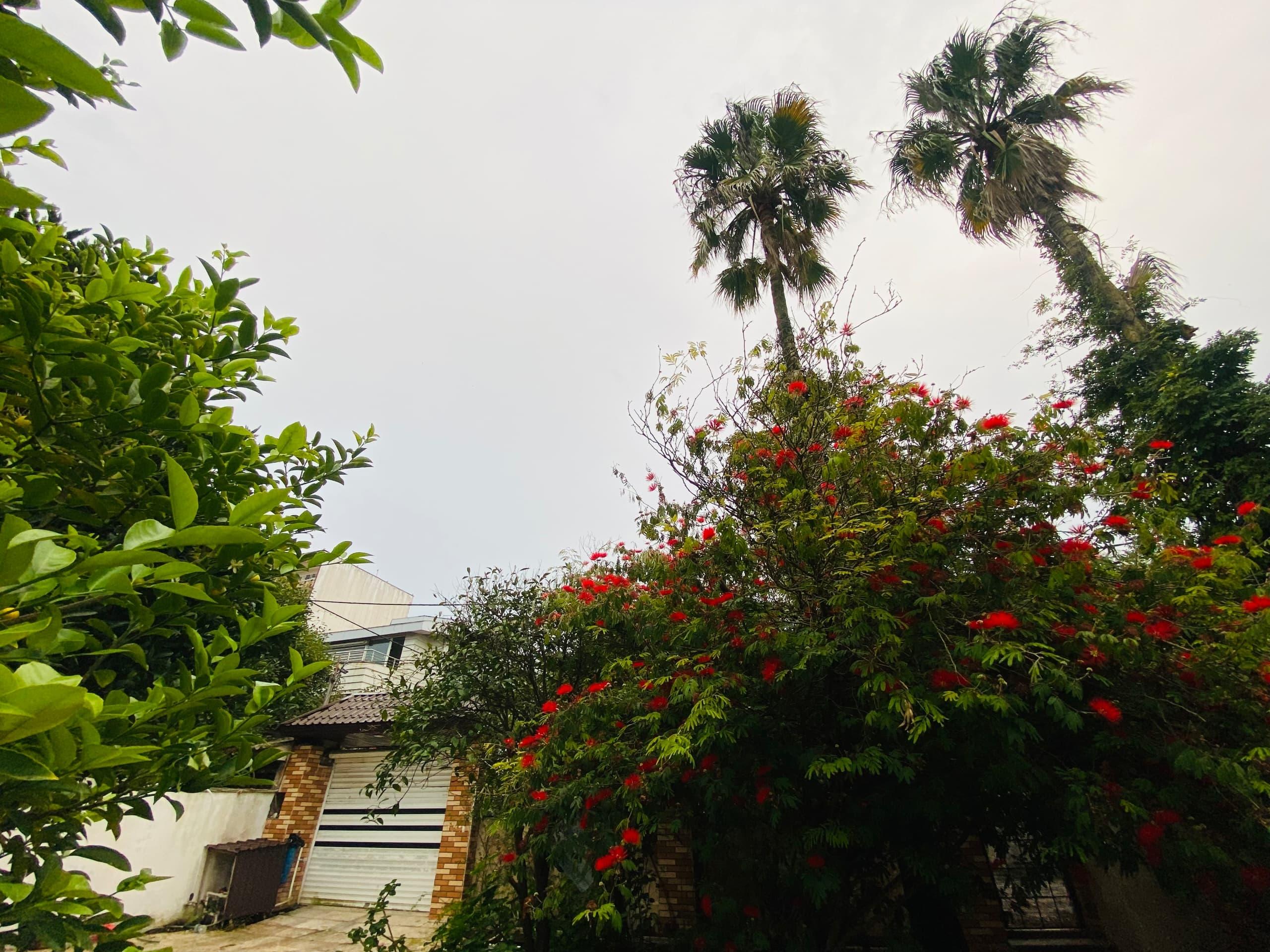 عمارت فانوس استخر جکوزی ساحل اختصاصی