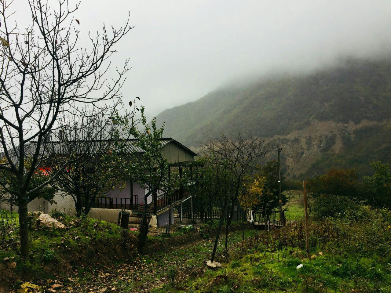 ویلا علی آباد کوهستانی-جنگلی 