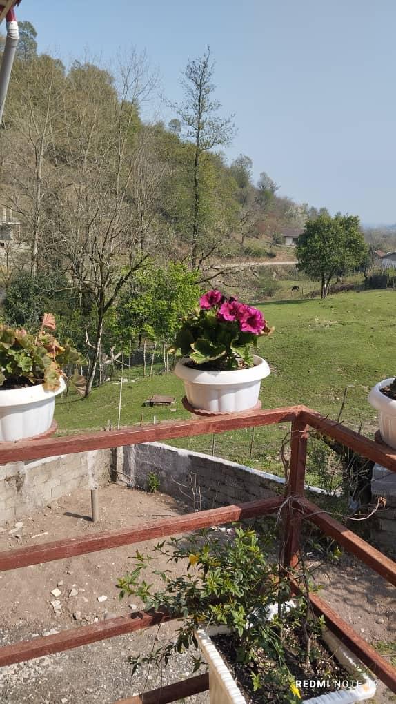 کلبه چوبی چهارخواب مستروجکوزی دار