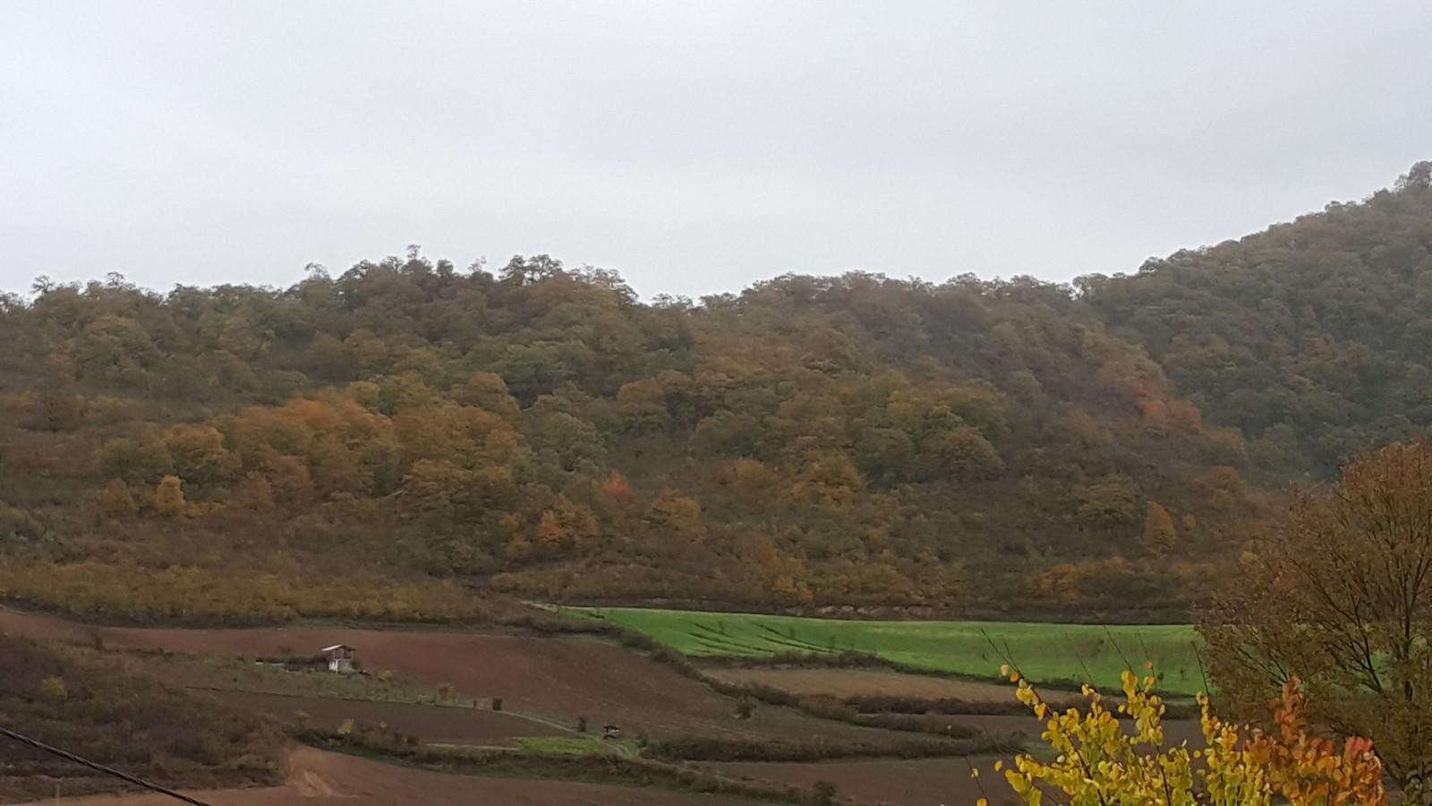 ویلا علی آباد روستایی در کوهپایه و نزدیک جنگل