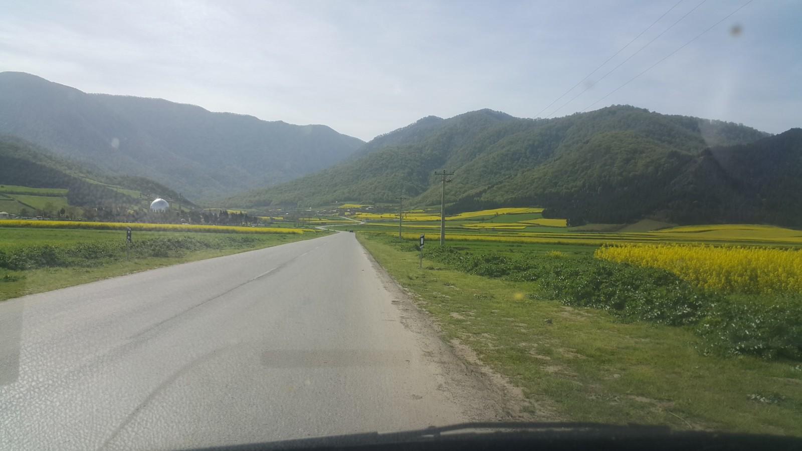 ویلا علی آباد روستایی در کوهپایه و نزدیک جنگل