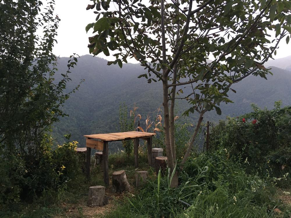 ویلای دو خواب با ویوی جنگل در تالش