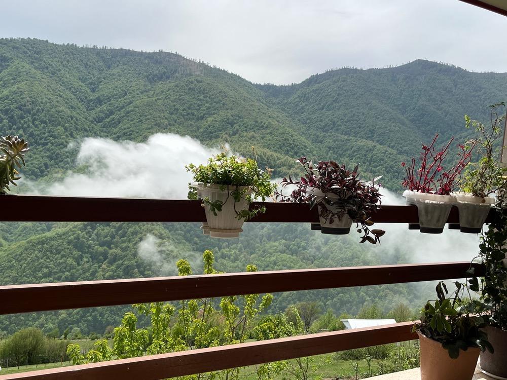 ویلای دو خواب با ویوی جنگل در تالش