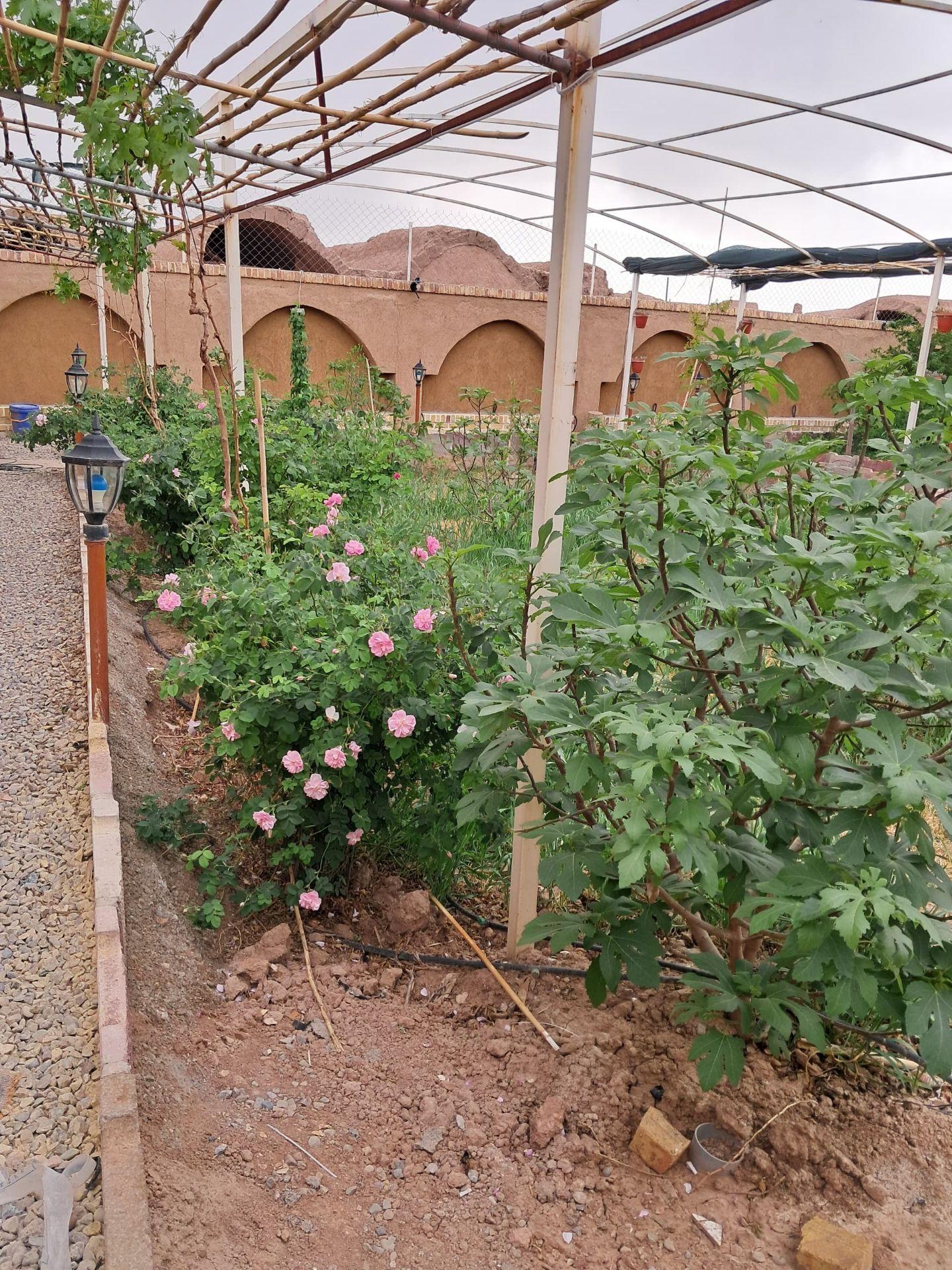 اقامتگاه بومگردی فانوس در گرمسار