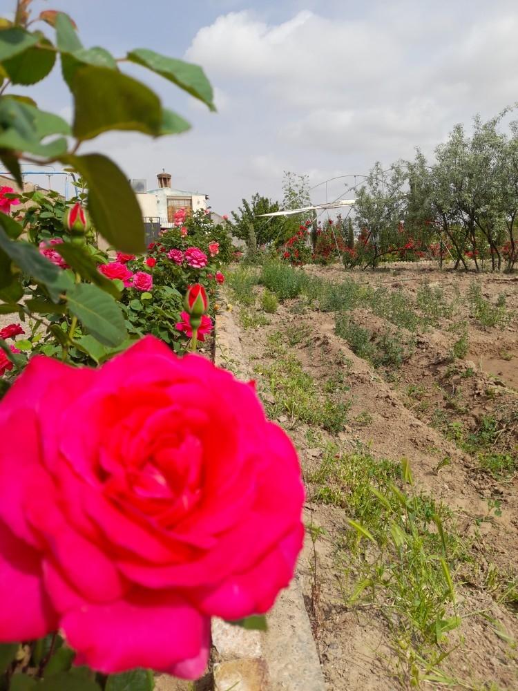 ویلای دو سوئیته حیدر در روستای خیبری