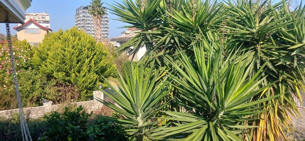 ویلا دو خواب پردیس با استخر آبگرم