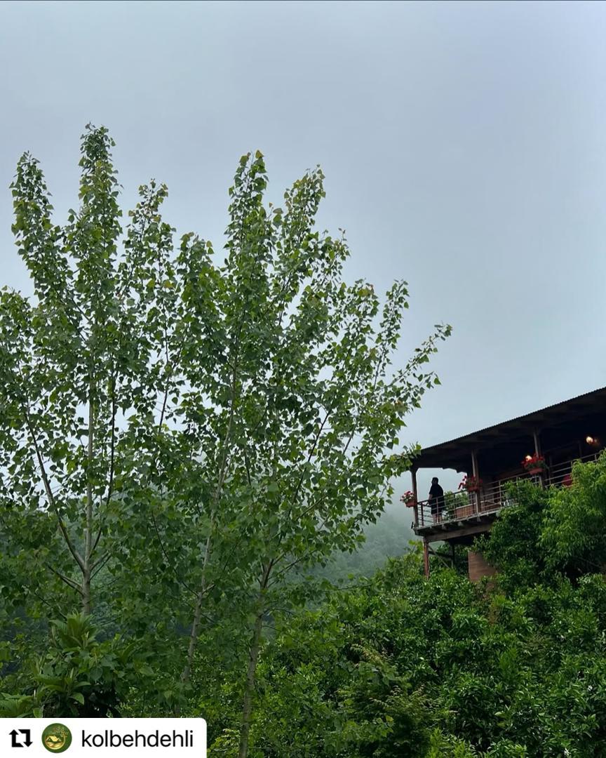 رزرو کلبه جنگلی دهلی جکوزی دار در رامسر واحد کلاسیک