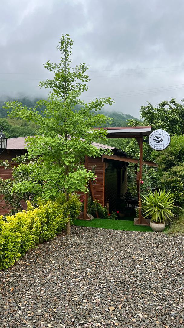 رزرو کلبه جنگلی دهلی جکوزی دار در رامسر واحد کلاسیک