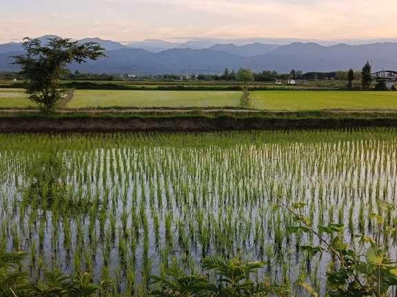 ویلای دو خواب گلایل نزدیک جنگل گیسوم