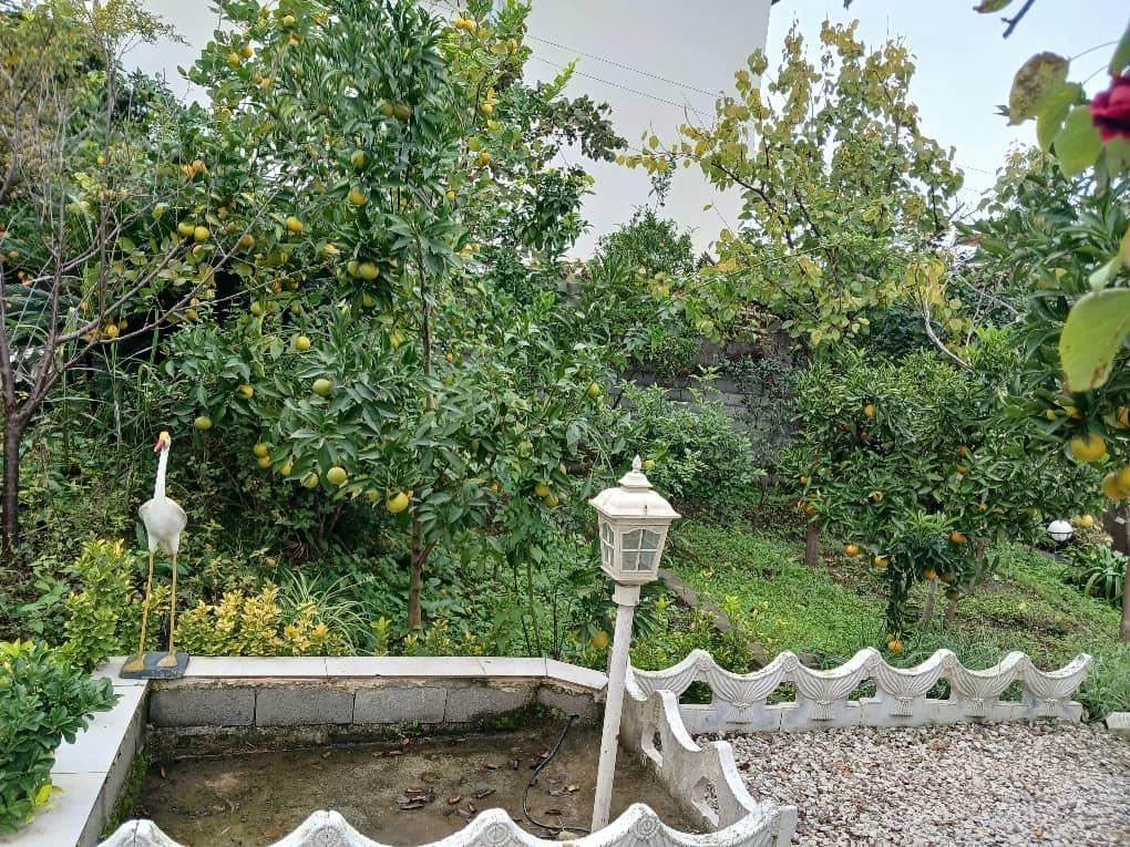 ویلای تک خواب خانوادگی عسل