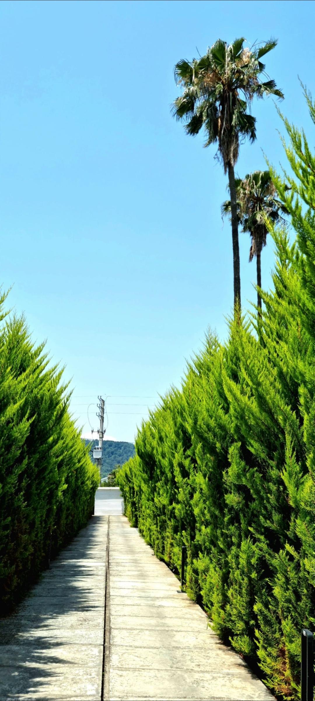 ویلایی تک خواب شبهای شمال