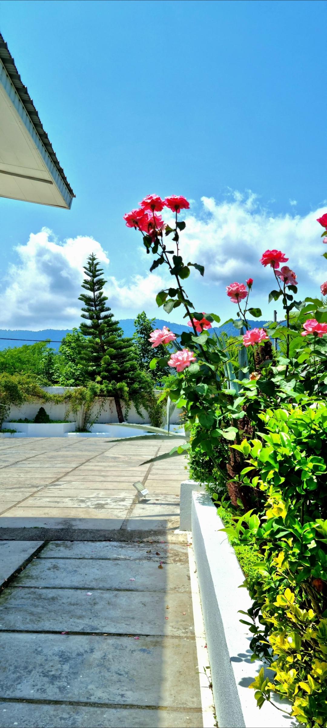 ویلایی تک خواب شبهای شمال