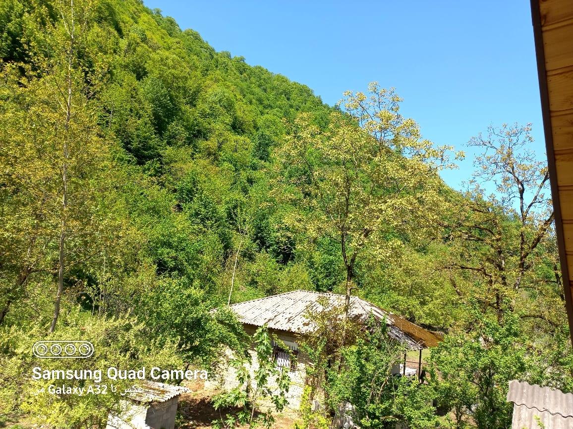 کلبه چوبی سوئیسی دلوین در جاده اسالم