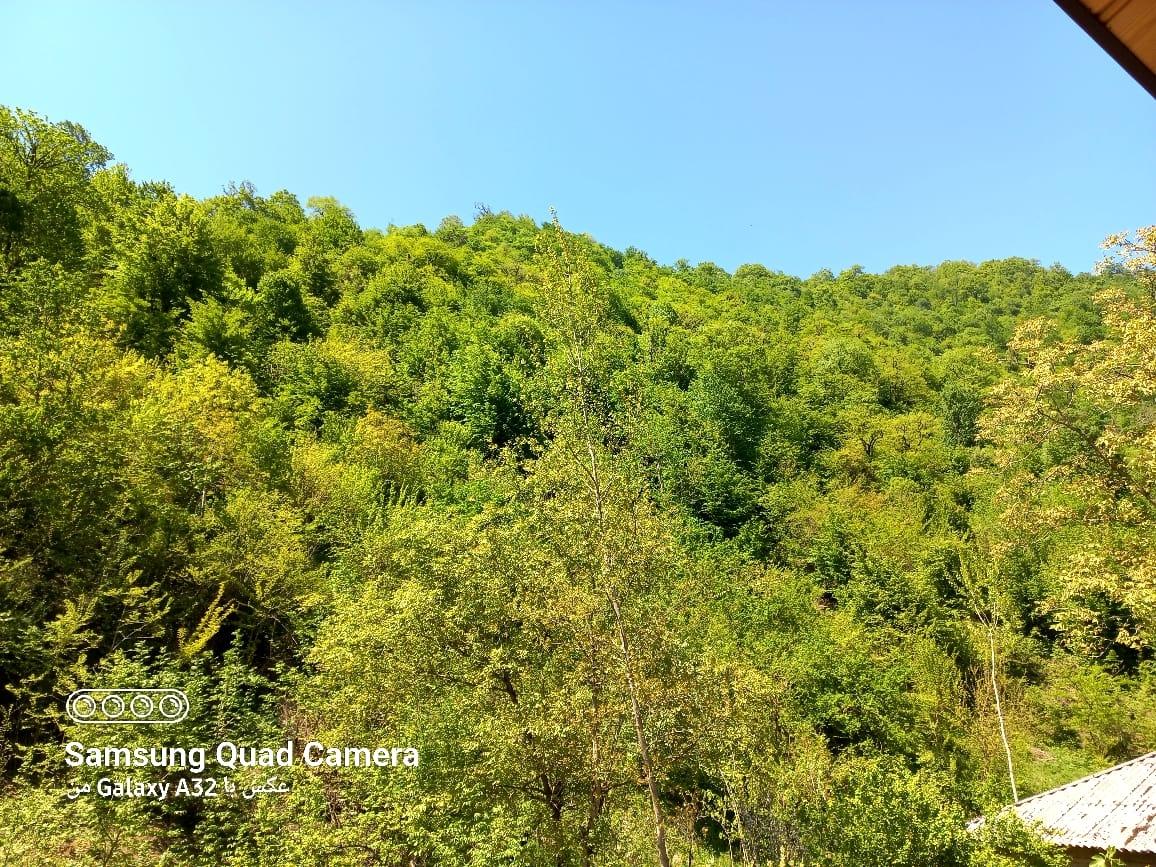 کلبه چوبی سوئیسی دلوین در جاده اسالم