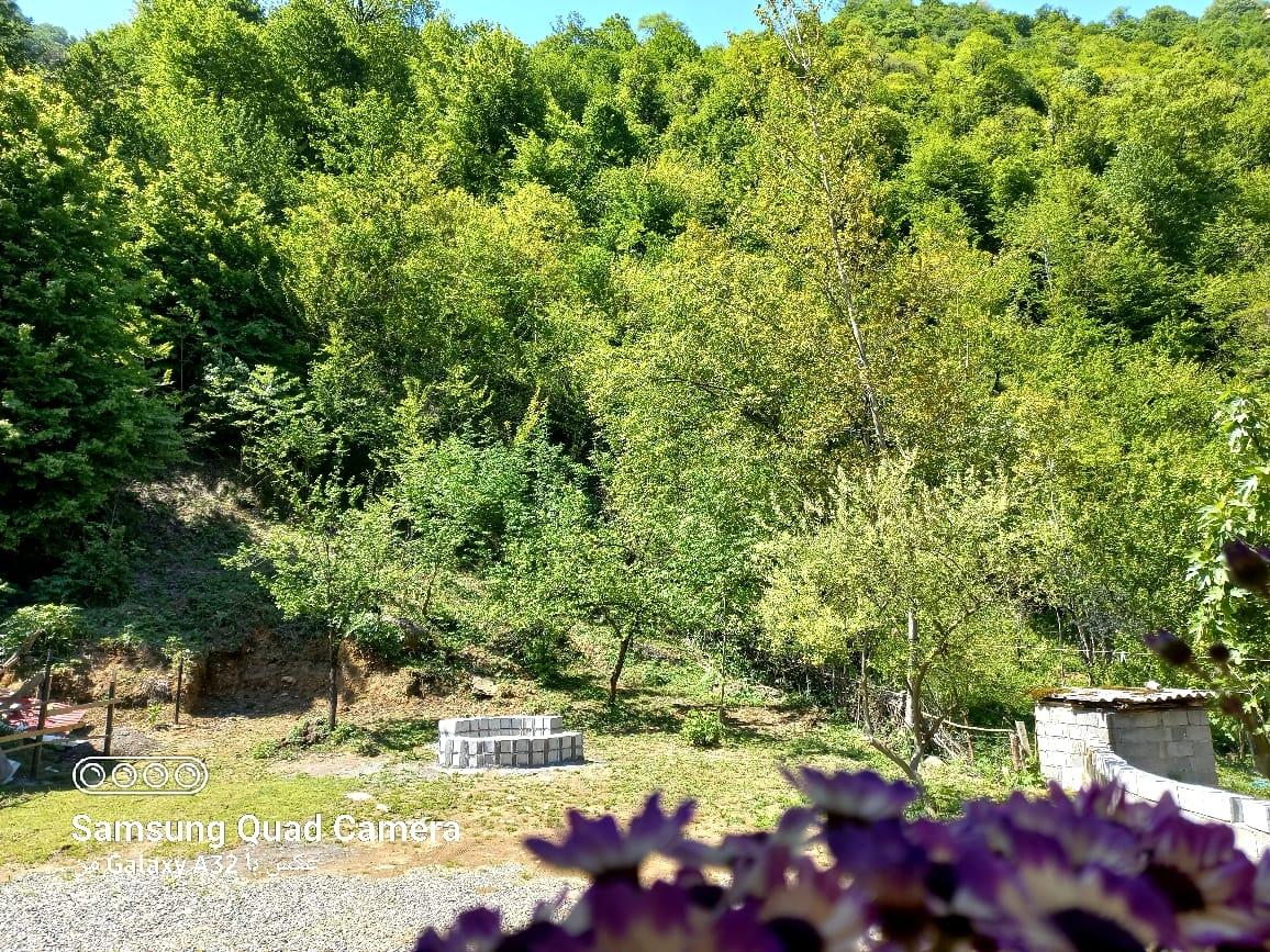 کلبه چوبی سوئیسی دلوین در جاده اسالم