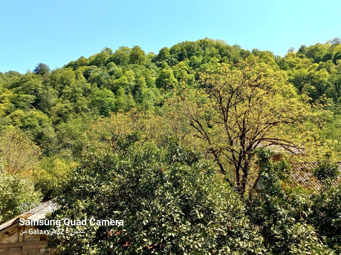 کلبه چوبی سوئیسی دلوین در جاده اسالم