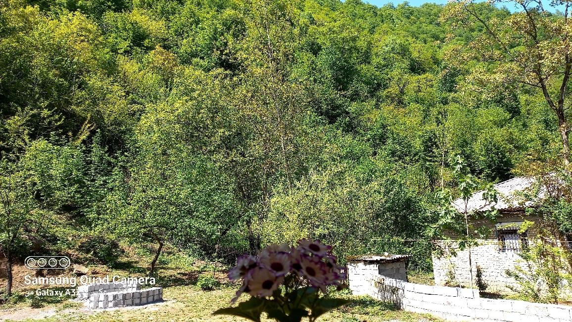 کلبه چوبی سوئیسی دلوین در جاده اسالم