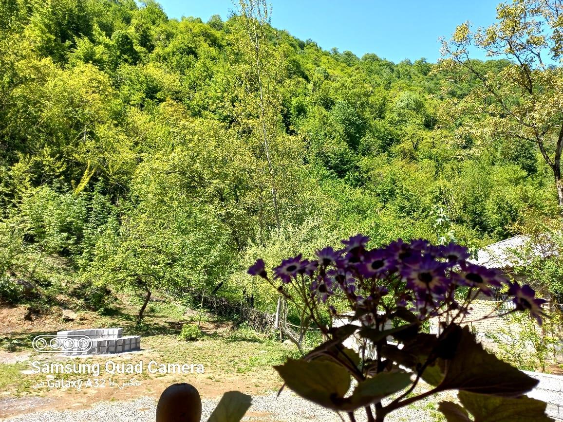 کلبه چوبی سوئیسی دلوین در جاده اسالم