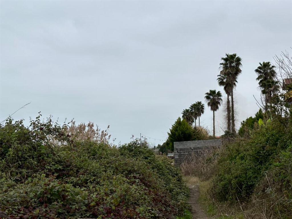 ویلای ساحلی شیک ارغوان دو خوابه