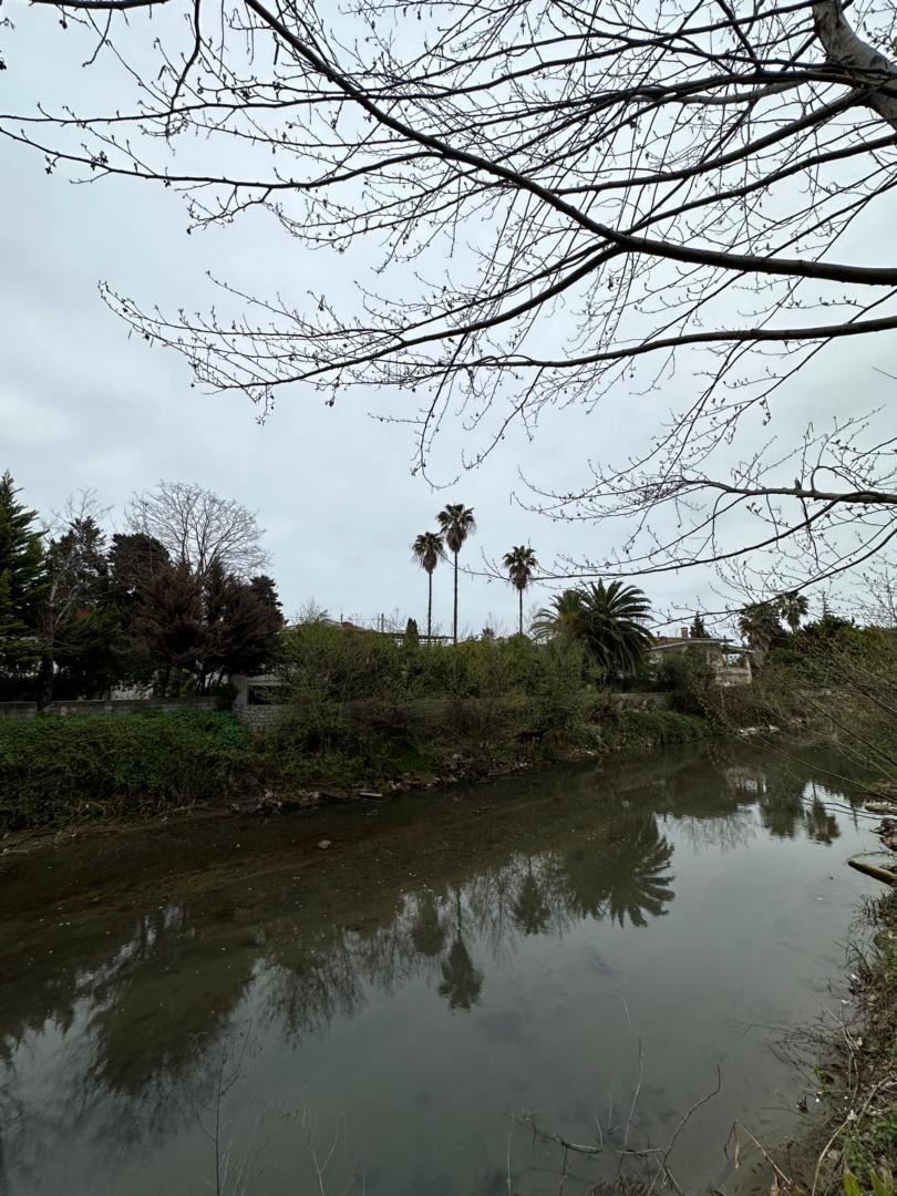 ویلای ساحلی شیک ارغوان دو خوابه