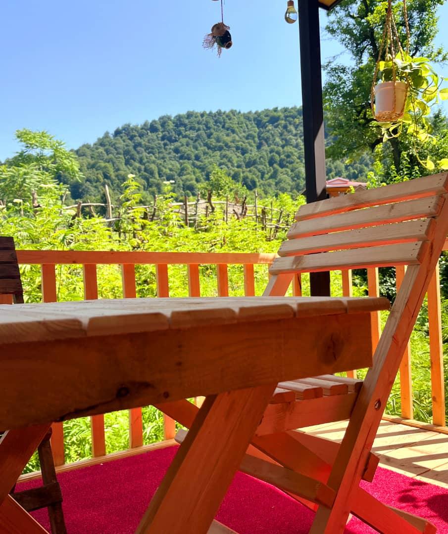 کلبه سوئیسی جنگلی تی تی