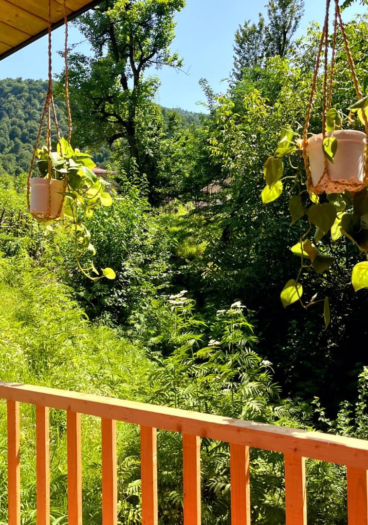 کلبه سوئیسی جنگلی تی تی