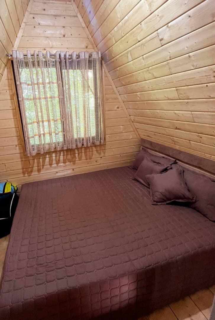 کلبه سوئیسی جنگلی تی تی