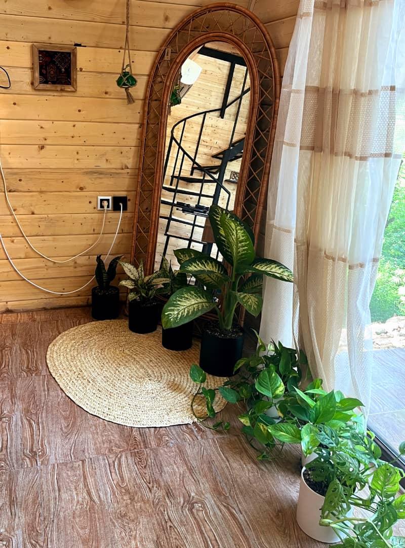 کلبه سوئیسی جنگلی تی تی