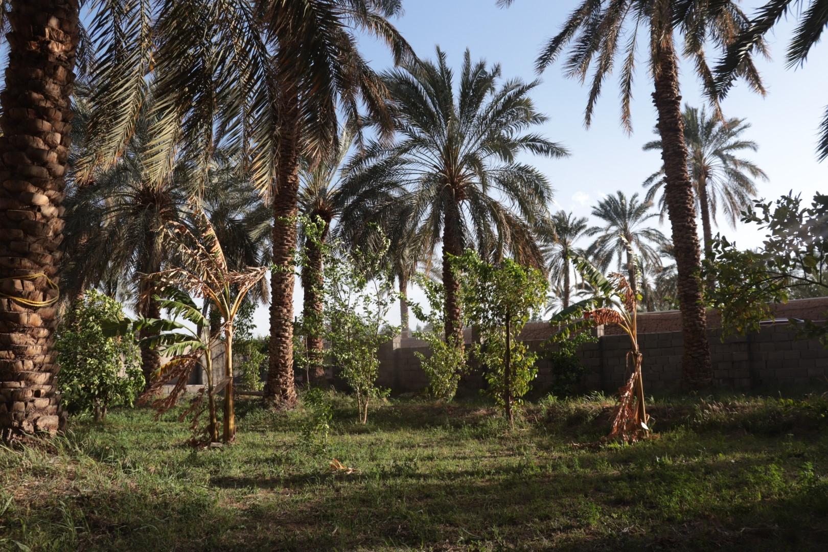 باغ ویلای تک خواب فردین