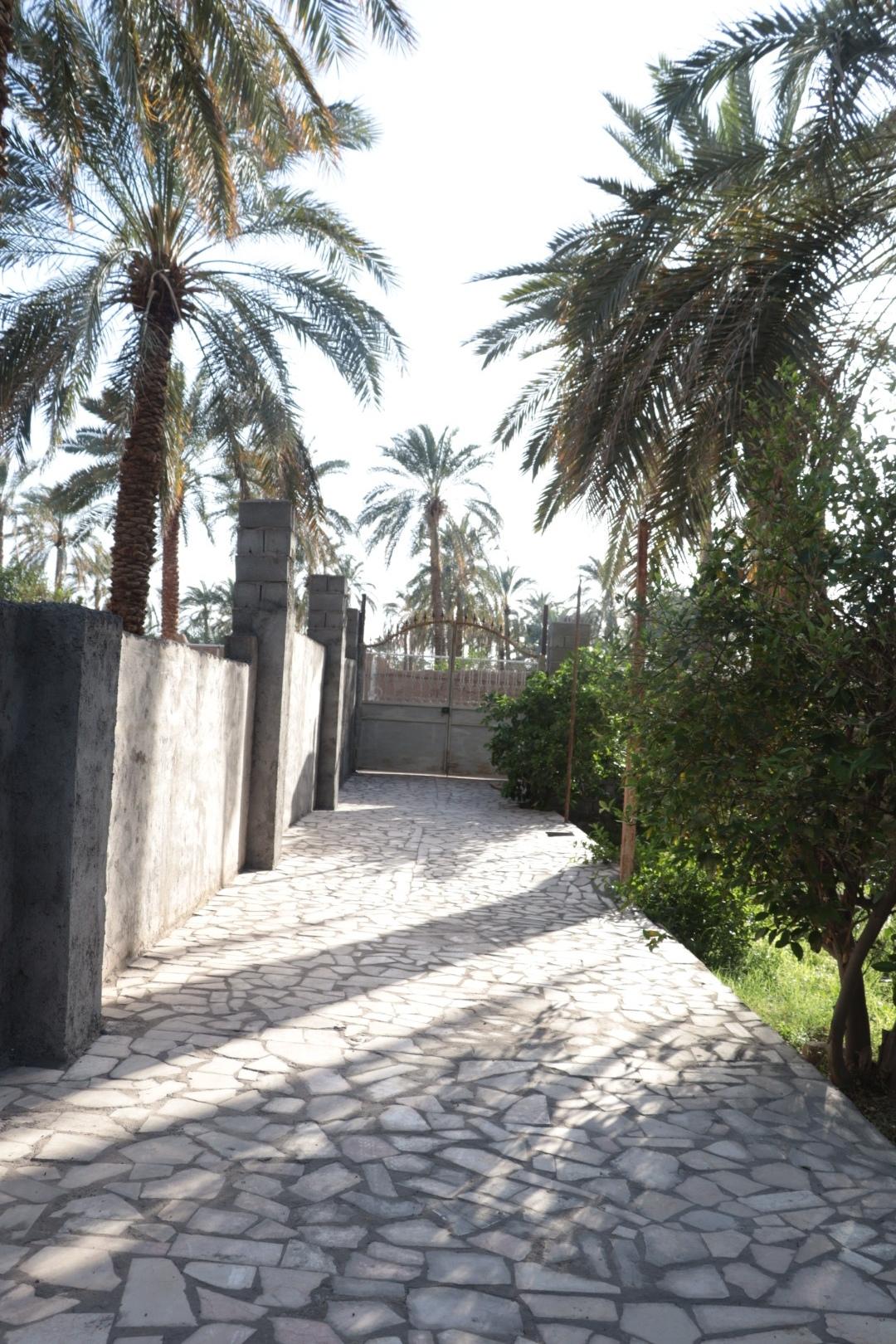 باغ ویلای تک خواب فردین